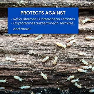 BioAdvanced Termite Killer Granules for Insects Granules 9 lb